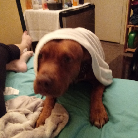 Meet your Posher, Richard - Picture 4 of 8